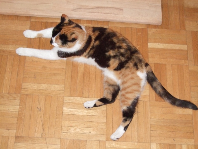 Ostern 2007 Orleshausen 129 